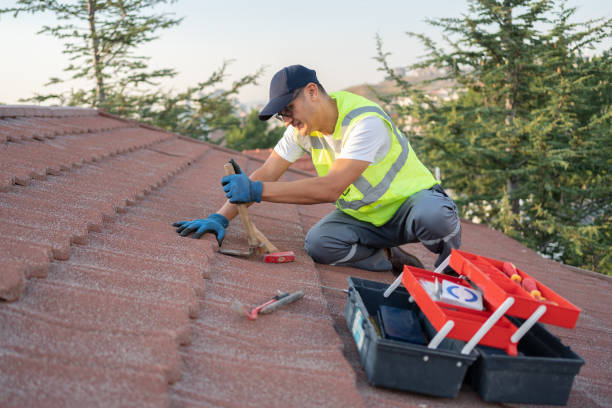 Best Roof Maintenance Services  in West Point, VA