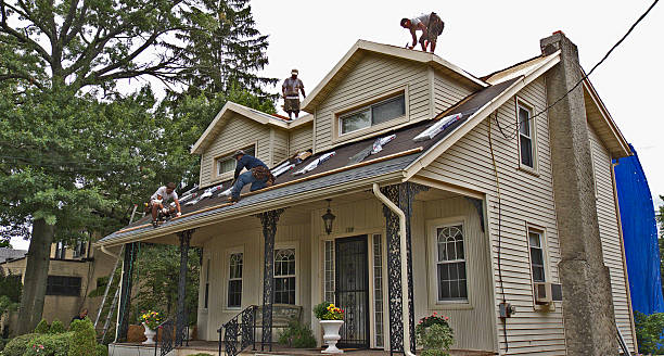 Best Storm Damage Roof Repair  in West Point, VA
