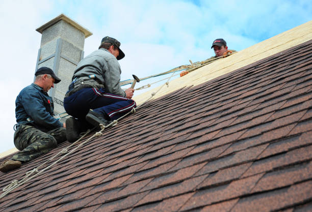 Best Affordable Roofing Company  in West Point, VA